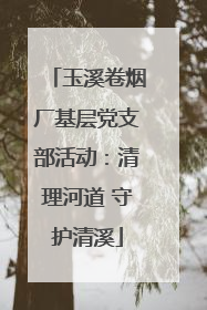 玉溪卷烟厂基层党支部活动：清理河道 守护清溪