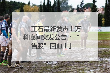 王石最新发声！万科晚间突发公告：“售股”回血！