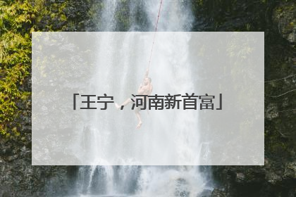王宁，河南新首富