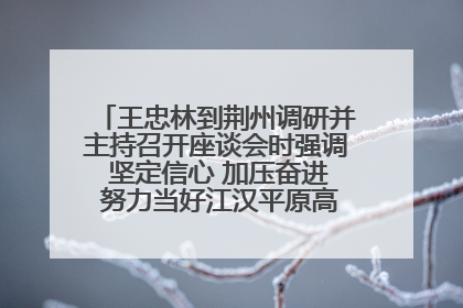 王忠林到荆州调研并主持召开座谈会时强调 坚定信心 加压奋进 努力当好江汉平原高质量发展排头兵