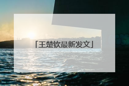 王楚钦最新发文