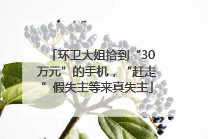 环卫大姐拾到“30万元”的手机，“赶走”假失主等来真失主