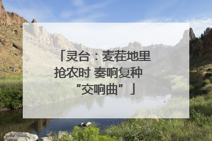 灵台：麦茬地里抢农时 奏响复种“交响曲”