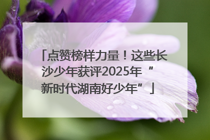 点赞榜样力量！这些长沙少年获评2025年“新时代湖南好少年”