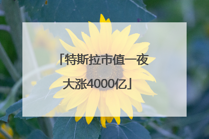 特斯拉市值一夜大涨4000亿