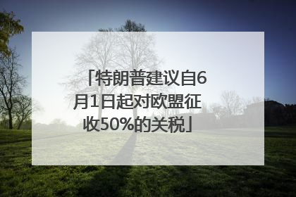 特朗普建议自6月1日起对欧盟征收50%的关税
