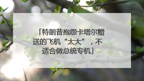 特朗普抱怨卡塔尔赠送的飞机“太大”，不适合做总统专机
