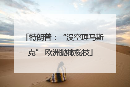 特朗普：“没空理马斯克” 欧洲抛橄榄枝
