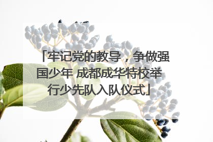 牢记党的教导，争做强国少年 成都成华特校举行少先队入队仪式