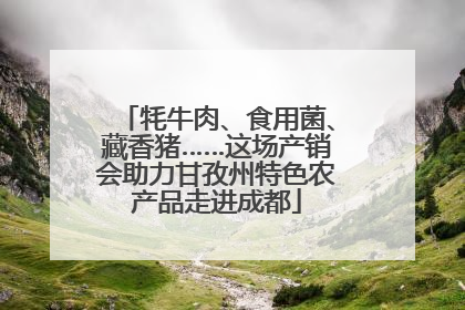牦牛肉、食用菌、藏香猪……这场产销会助力甘孜州特色农产品走进成都