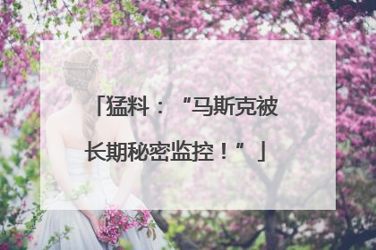 猛料：“马斯克被长期秘密监控！”