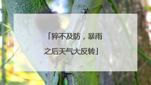 猝不及防，暴雨之后天气大反转