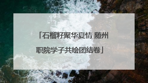 石榴籽聚华夏情 随州职院学子共绘团结卷