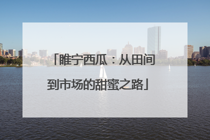 睢宁西瓜：从田间到市场的甜蜜之路
