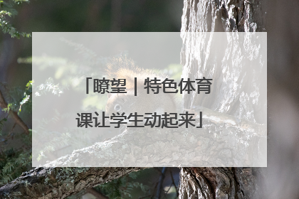 瞭望｜特色体育课让学生动起来
