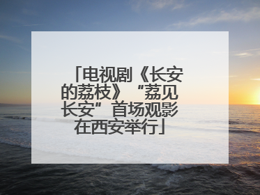 电视剧《长安的荔枝》“荔见长安”首场观影在西安举行