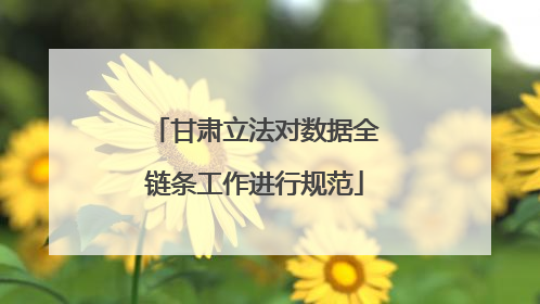 甘肃立法对数据全链条工作进行规范