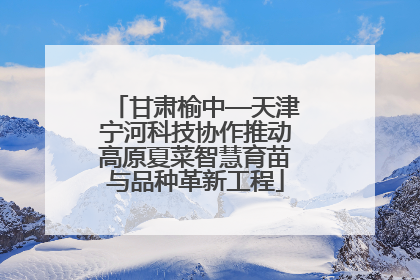 甘肃榆中—天津宁河科技协作推动高原夏菜智慧育苗与品种革新工程