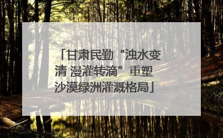 甘肃民勤“浊水变清 漫灌转滴”重塑沙漠绿洲灌溉格局