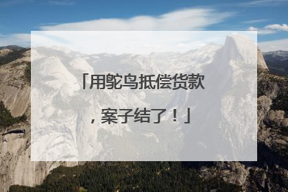 用鸵鸟抵偿货款，案子结了！