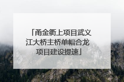甬金衢上项目武义江大桥主桥单幅合龙 项目建设提速