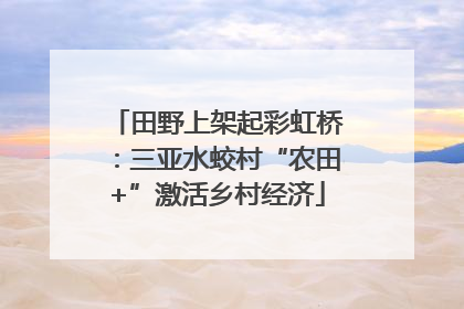 田野上架起彩虹桥：三亚水蛟村“农田+”激活乡村经济