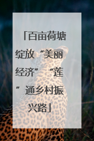百亩荷塘绽放“美丽经济”“莲”通乡村振兴路