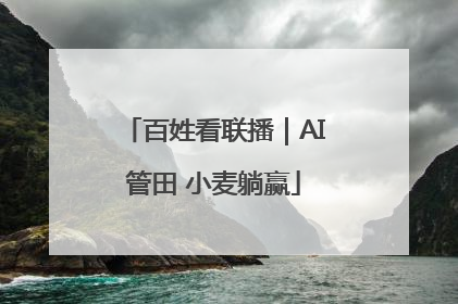 百姓看联播｜AI管田 小麦躺赢