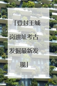登封王城岗遗址考古发掘最新发现