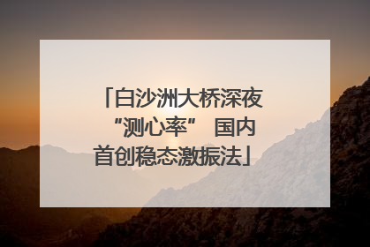 白沙洲大桥深夜“测心率” 国内首创稳态激振法