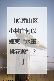 皖南山区小村庄何以蝶变“水墨桃花源”？