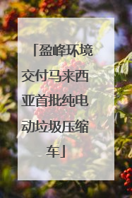 盈峰环境交付马来西亚首批纯电动垃圾压缩车