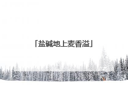 盐碱地上麦香溢