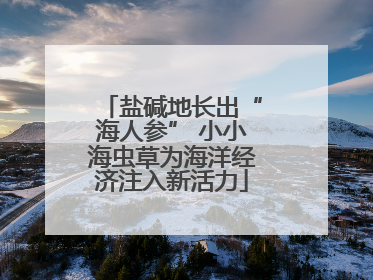 盐碱地长出“海人参” 小小海虫草为海洋经济注入新活力