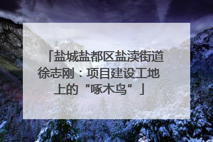 盐城盐都区盐渎街道徐志刚：项目建设工地上的“啄木鸟”
