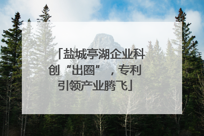 盐城亭湖企业科创“出圈”，专利引领产业腾飞