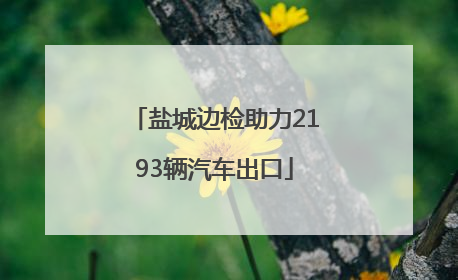 盐城边检助力2193辆汽车出口