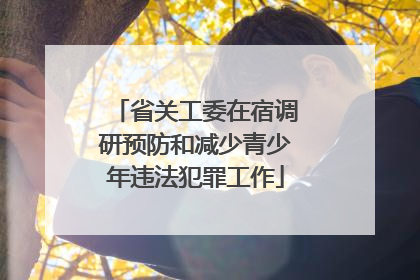 省关工委在宿调研预防和减少青少年违法犯罪工作