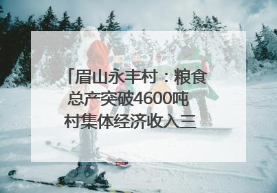 眉山永丰村：粮食总产突破4600吨 村集体经济收入三年倍增｜牵挂的村