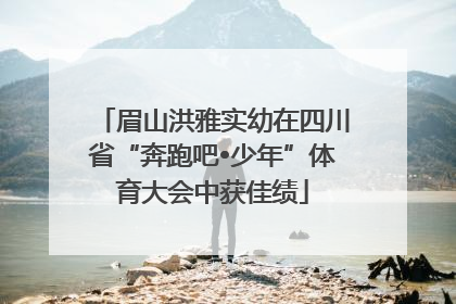 眉山洪雅实幼在四川省“奔跑吧•少年”体育大会中获佳绩