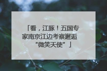 看，江豚！五国专家南京江边考察邂逅“微笑天使”