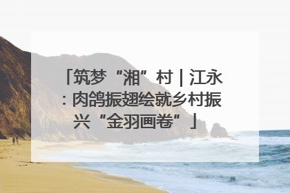 筑梦“湘”村｜江永：肉鸽振翅绘就乡村振兴“金羽画卷”