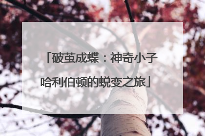 破茧成蝶：神奇小子哈利伯顿的蜕变之旅