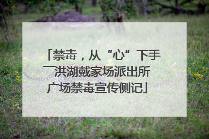 禁毒，从“心”下手――洪湖戴家场派出所广场禁毒宣传侧记