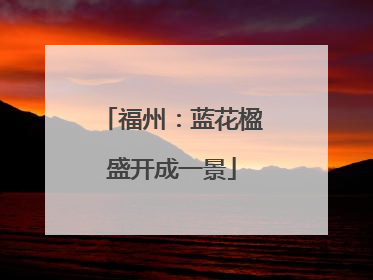 福州：蓝花楹盛开成一景
