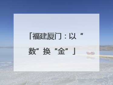 福建厦门：以“数”换“金”