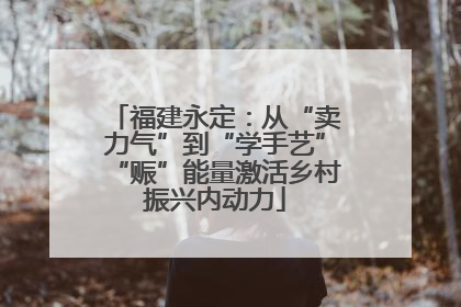 福建永定:从“卖力气”到“学手艺”“赈”能量激活乡村振兴内动力