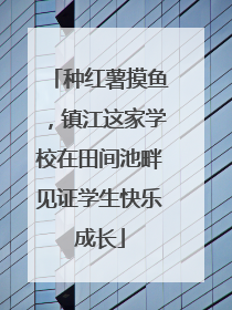 种红薯摸鱼，镇江这家学校在田间池畔见证学生快乐成长