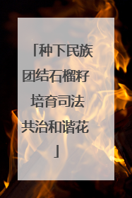 种下民族团结石榴籽 培育司法共治和谐花