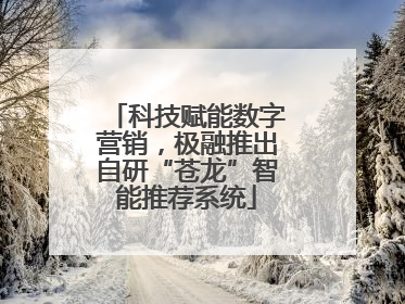 科技赋能数字营销，极融推出自研“苍龙”智能推荐系统